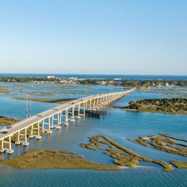 Take a Journey Back to Nature with Our Island Eco Tour in North Carolina!